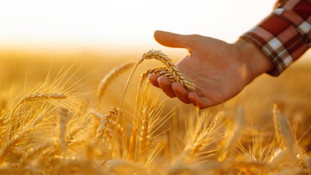 Παγκόσμια Ημέρα Ασφάλειας Τροφίμων: ‘’Προετοιμαστείτε για το απρόβλεπτο’’