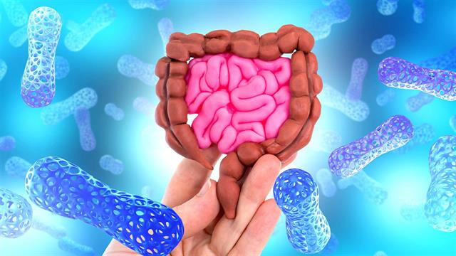 Η προστασία των γαλακτοβάκιλλων για την υγεία του εντέρου