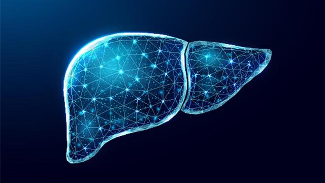 Νέο εργαλείο για τον έγκαιρο εντοπισμό του καρκίνου στο ήπαρ [μελέτη]