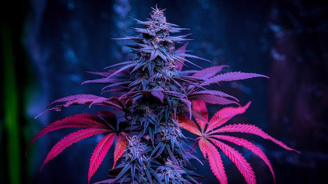 Μαζί θα σηκωθούμε, ξανά και ξανά