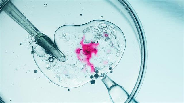 Γονιμότητα και εξωσωματική γονιμοποίηση: Πόσο επηρεάζει το κάπνισμα