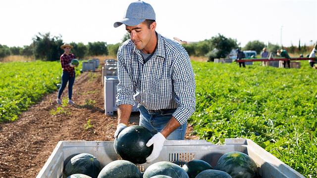 Τους χειρώνακτες εργαζομένους χτυπά η ωλένια νευρίτιδα