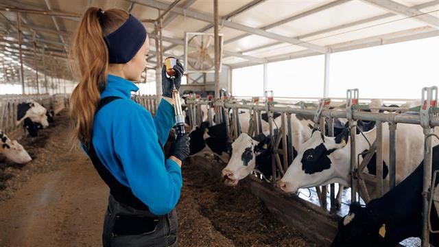 Τέταρτο κρούσμα γρίπης των πτηνών στις ΗΠΑ μετά από επαφή με αγελάδες
