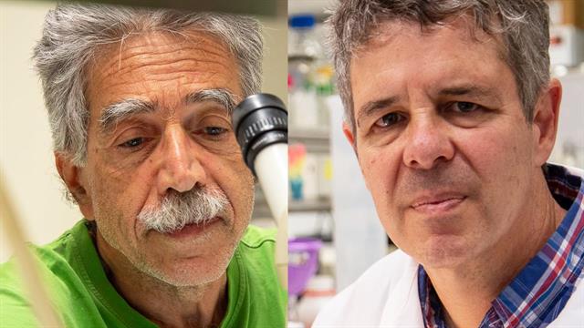 Δύο Ερευνητές του ΙΤΕ εκλέγονται στον Ευρωπαϊκό Οργανισμό Μοριακής Βιολογίας (ΕΜΒΟ)