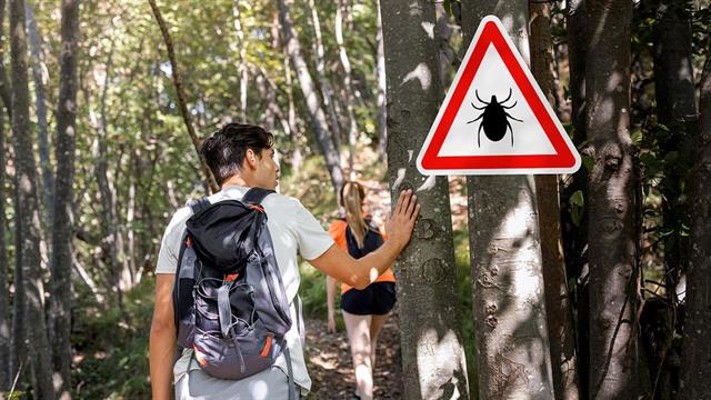 Αυστριακοί ερευνητές ανοίγουν νέους δρόμους στη διάγνωση της νόσου Lyme