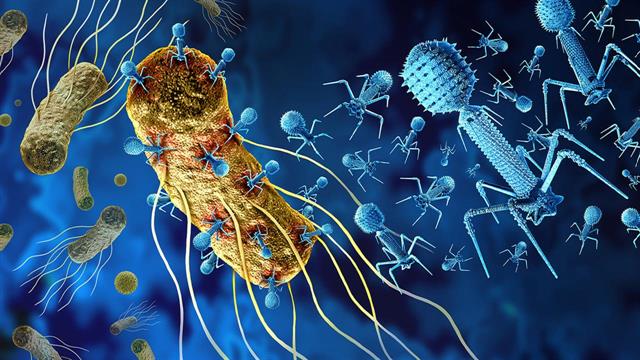 Bακτηριοφάγοι κατά ανθεκτικών στα αντιβιοτικά λοιμώξεων