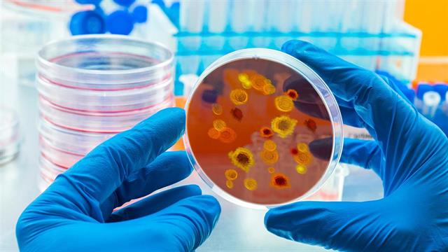 Επιδημίες και συμβάντα ανά τον κόσμο – Προληπτικά μέτρα για ταξιδιώτες