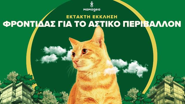 Πώς θα φροντίσετε τα ζώα και τα φυτά της γειτονιάς σας τις μέρες του καύσωνα