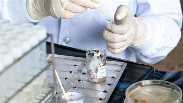 Πόσο θα αποζημιώνεται το τεστ για την πρόληψη του καρκίνου παχέος εντέρου;