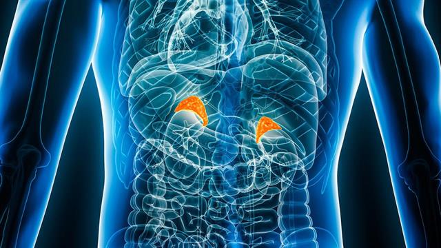 Τυχαίος όγκος στο επινεφρίδιο σε αξονική: Τι πρέπει να γνωρίζουμε