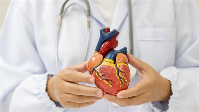 Stress echo: Ασφαλής και έγκυρη διάγνωση καρδιολογικών παθήσεων