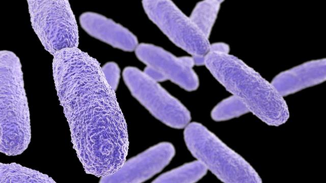 Προειδοποίηση ΠΟΥ για ένα υπερμολυσματικό υπερ-βακτήριο