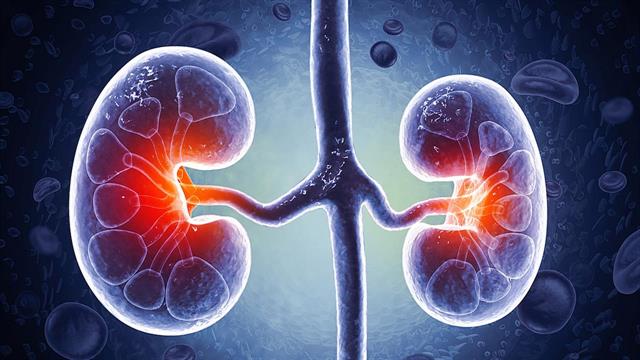 Ο FDA ενέκρινε φάρμακο για νεφρική νόσο