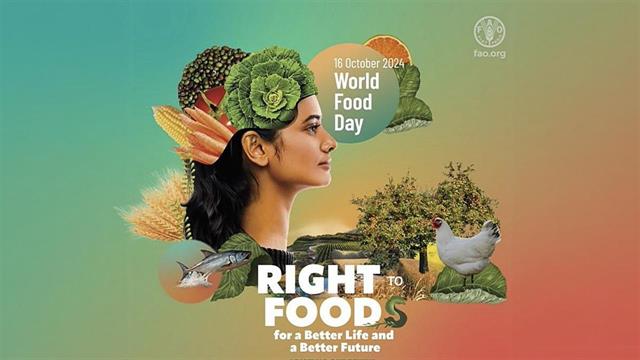 Ο ΕΦΕΤ για την Παγκόσμια Ημέρα Επισιτισμού