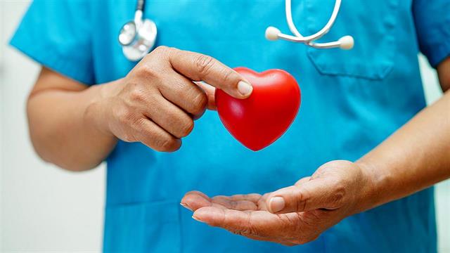 Ερευνητές του UCLA ανακάλυψαν πρωτεΐνη που συμβάλλει στην αποκατάσταση βλάβης στην καρδιά