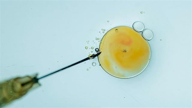 Ανοσοποιητικό σύστημα και εξωσωματική γονιμοποίηση: Υπάρχει σύνδεση;