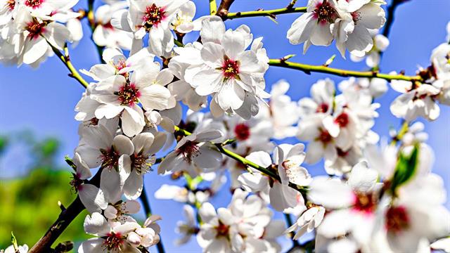 ‘’ΑνθίΖΩ με την ΑΚΟΣ’’: Όγδοος Κύκλος