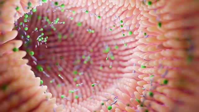 Γιατί είναι σημαντικό το μικροβίωμα του εντέρου