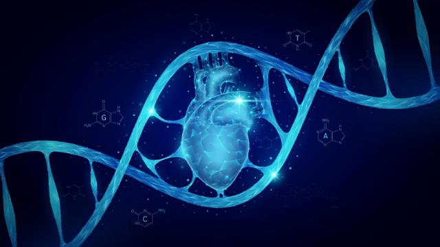 Επιθέματα για την καρδιακή ανεπάρκεια με βάση βλαστικά κύτταρα