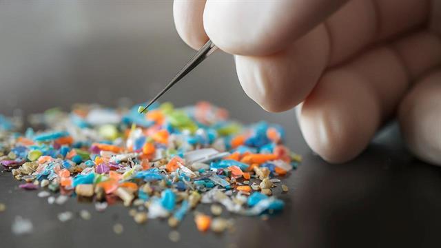 Μικροπλαστικά: Πόσο χώρο καταλαμβάνουν...στον εγκέφαλο;