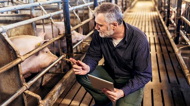 Συναγερμός για τον αφθώδη πυρετό στη Γερμανία