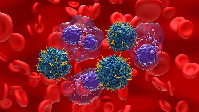 Πώς εξαπλώνεται το πολλαπλό μυέλωμα - Τι έδειξε πρόσφατη επιστημονική μελέτη