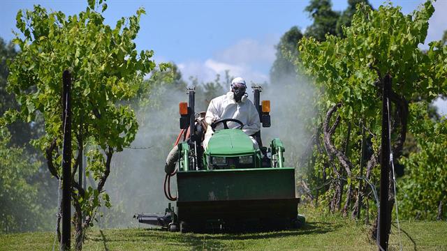 Στο στόχαστρο των τοξικολόγων τα φυτοφάρμακα