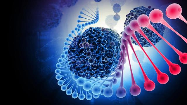 Μόριο - φύλακας καταπολεμά τους κακοήθεις όγκους [μελέτη]