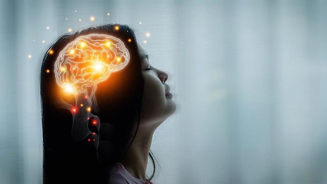 Σεξουαλικές ορμόνες: Eπηρεάζουν τον εγκέφαλο, συνδέονται με νευρολογικές διαταραχές [μελέτη]