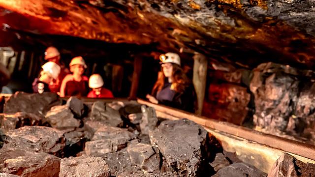 Το παθογόνο του άνθρακα εξακολουθεί να αποτελεί απειλή για τον άνθρωπο και τα ζώα