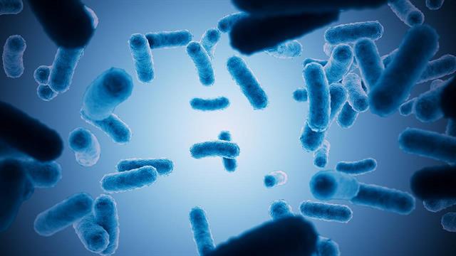 Η τεχνητή δέσμευση άνθρακα ξεπερνά τη φύση