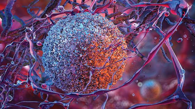 Το μυκόπλασμα της πνευμονίας επιστρέφει με ρυθμό - ρεκόρ μετά την πανδημία