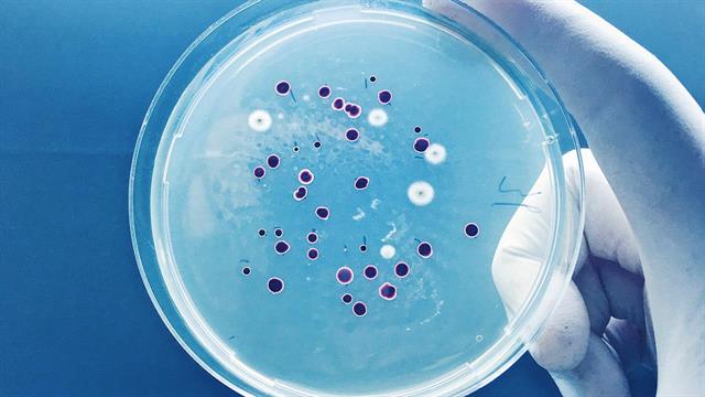 ECDC - EFSA: Ρουτίνα η ανακάλυψη ανθεκτικών στα αντιβιοτικά βακτηρίων σε ανθρώπους και ζώα