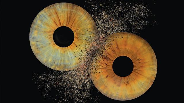 Tα νευρικά κύτταρα και οι στήλες στον οπτικό φλοιό