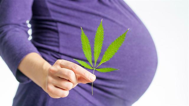 Η κάνναβη στην εγκυμοσύνη τριπλασιάζει τον κίνδυνο προβλημάτων συμπεριφοράς στα παιδιά [μελέτη]