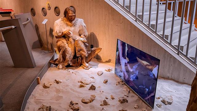 Γιατί οι άνθρωπος έχει μικρότερο πρόσωπο από τον Νεάντερταλ