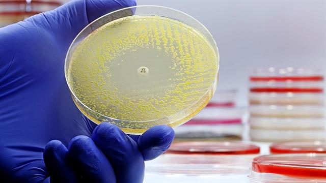 Ανακαλύφθηκε αντιβιοτικό κατά των ανθεκτικών μυκητιασικών λοιμώξεων και βακτηρίων