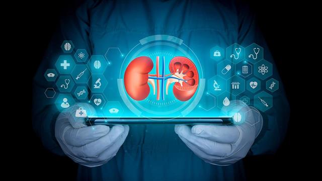 Η υπέρταση μπορεί να οδηγήσει σε δομικές αλλαγές στα νεφρά [μελέτη]