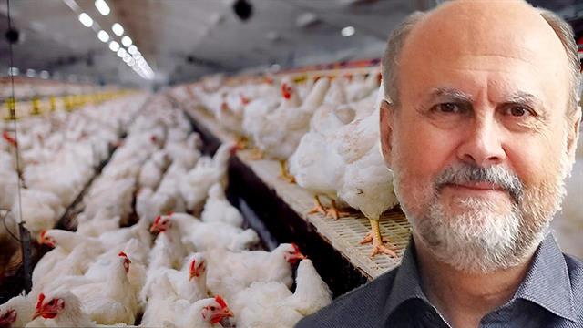 Καθηγητής Χρ. Δόβας: Πόσο πιθανή είναι μία πανδημία από τη γρίπη των πτηνών