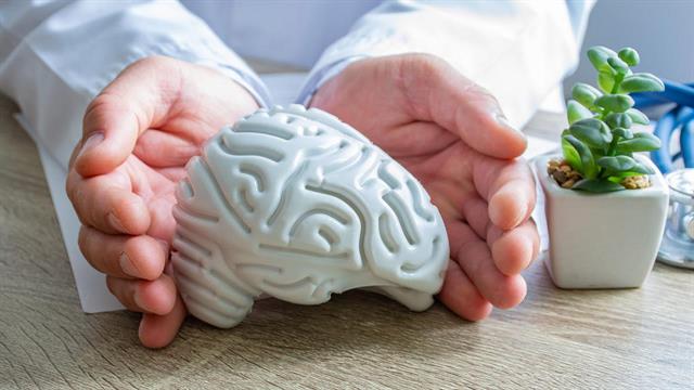 Μίνι εγκέφαλοι αποκάλυψαν πρωτεΐνη που ενδεχομένως οδηγεί σε  μετωποκροταφική άνοια και Αλτσχάιμερ