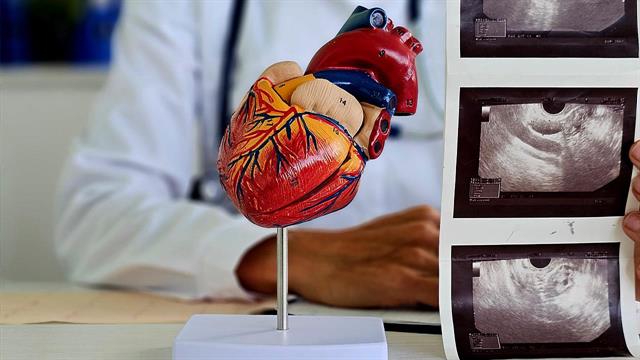 Ψυχική ανθεκτικότητα και καρδιά