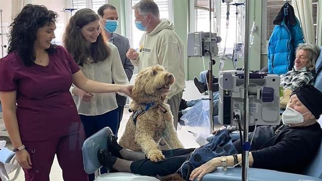 Επίσημη πρώτη για το πρόγραμμα Παρέα με ουρά στο  Μεταξά - Ξεκίνησε η θεραπεία με σκύλους