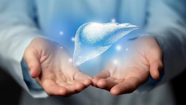 Nέα μέθοδος μεταμόσχευσης ήπατος: Τι δείχνει μελέτη στην Αυστρία