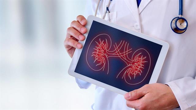 Χρόνια νεφρική ανεπάρκεια: Συμβουλές για τη διαχείριση της νόσου