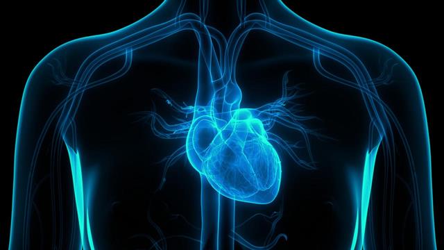 Βιοεκτυπωμένη αορτή εμφυτεύτηκε με επιτυχία σε ποντικούς