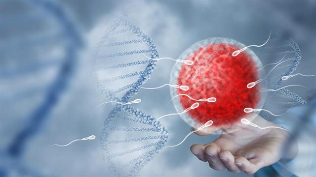 Νέες θεραπευτικές προσεγγίσεις για επιτυχή τεχνητή γονιμοποίηση