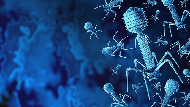 Φάγοι κατά βακτηριακών λοιμώξεων: Δαπανηρή και χρονοβόρα η παραγωγή φαρμακευτικού σκευάσματος