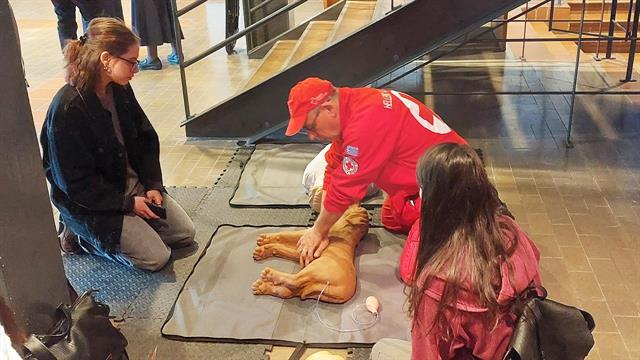 Πρώτες βοήθειες σε σκύλους - ΚΑΡΠΑ, λαβή Χάιμλιχ και άλλες τεχνικές