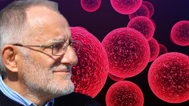 Στρεπτοκοκκική λοίμωξη: Είδη, μεταδοτικότητα, πότε το βακτήριο γίνεται επικίνδυνο