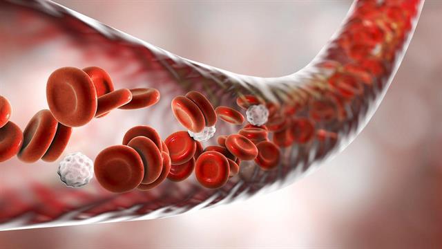 Πώς το γήρας μεταβάλλει το κυκλοφορικό σύστημα